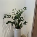 사파민원센터 | [창원] 대방동 로스터리 카페 - 우리로스터스