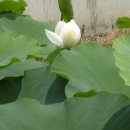 합천군산림조합 이미지