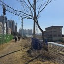 당동배수펌프장 이미지