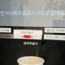 캑터스_24