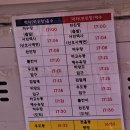 제주각시 | 뚜벅이홀로제주 3편