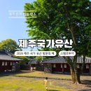 제주 상효동 한란자생지 | 제주 국가유산 방문의해 2026 제주국가유산 탐험 스탬프 투어 총정리