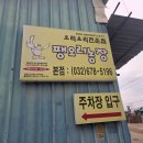 청하농장 | 부천 오리주물럭 맛집, 팽오리농장 본점 다녀온 솔직 후기