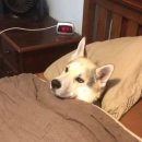 율암온천 이미지