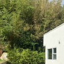 스테이숲숲 이미지