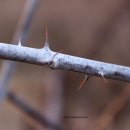 종복농장 이미지