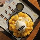 설빙울진점 | 무계획 울진 여행 후기(망양휴게소, 중국집 예원, 스카이레일, 프리다타코)