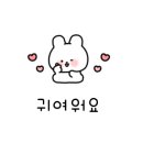 코지펫살롱 이미지