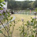 구름멍스테이 이미지