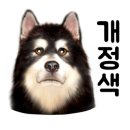 미리네 수선 이미지