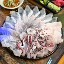 압구정횟집 | 대구 남구 봉덕동 횟집 압구정회포차 후기