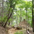 찬물샘약수터 이미지