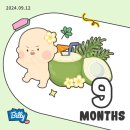 코끼리자동차공업사 | [임신기록] 임신 32주차, 33주차 기록 + 만삭홈스냅ෆ