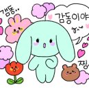 여주제일중학교 이미지