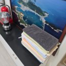 다인펜션민박 | (내돈내산) 충남 태안 | 진산리어촌계 갯벌체험장 인근 독채 펜션 "와이지풀빌라"