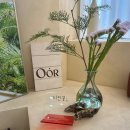 (오어)Oor | 원데이 메이크업 레슨 오어(Oor) 내돈내산 후기