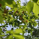 백일아침고요산길 이미지