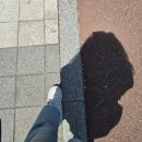 메가커피 수원 매교 힐스테이트점 방문 후기