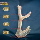 달창부성회식당