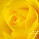 방과후아동지도사양성 이미지