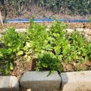 김복희농장 이미지