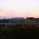 남양석유 이미지