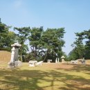 세손아이 이미지