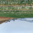 선정농장 이미지