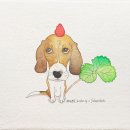 느낌있개 이미지