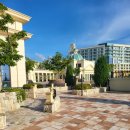 레드앤화이트독 이미지