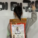 현대태권도화곡