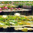 새길치과의원 이미지