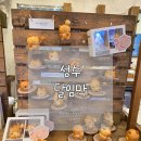 옥상카페 | 성수동 달임막 곰돌이 빵 카페 후기｜옥상 카페 분위기