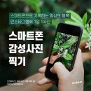 스마트 포토에세이 이미지