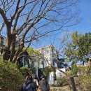 여천고등학교 | 여수 하우스웨딩 추천 헤리스가든 야외결혼식 하객후기