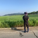 2차 유기농벼논 방제