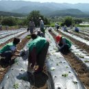 (주)희망일터