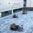 노을빛바다 | 사천 오션뷰 카페 비토리 노을빛 카페거리