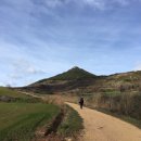 돌산가축 이미지