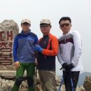 (주)디와이엠