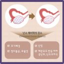 원자한의원 이미지