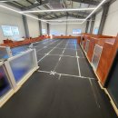 댕댕애견 이미지