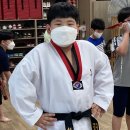 태권도 오송 정도장 이미지