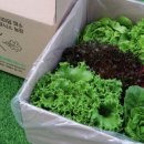 적음농장 이미지