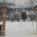 공주자연공예체험관 (대룡초등학교)에 있는 곤충 공예입니다. 이미지