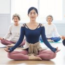 심신 단련법과 올바른 요가자세 이미지