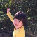 달빛농장 이미지