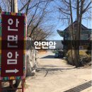 [애견동반여행 / 안면도 가볼만한 곳] 팜카밀레허브농원, 안면암