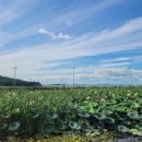 고구낚시터 이미지