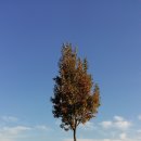 (특강)재미있는 일본어회화(중급) 이미지